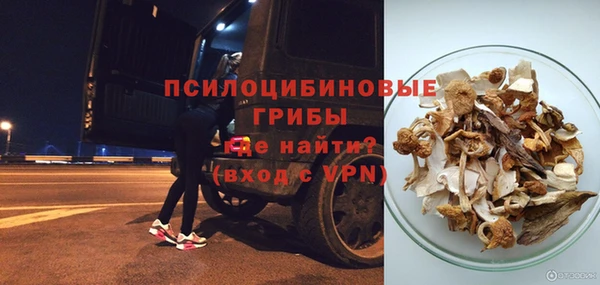 стаф Балахна