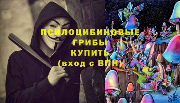 стафф Балабаново